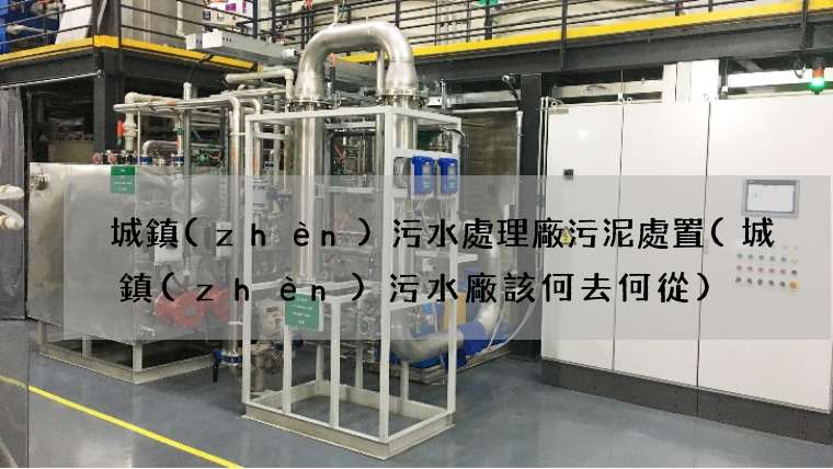 城鎮(zhèn)污水處理廠污泥處置(城鎮(zhèn)污水廠該何去何從)